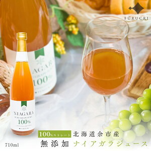 ykC]sYzW[X Y 100 Xg[g iCAK 710ml kCY Y ԂǂW[X  _ I lΉ Y }XJbg t[c ʕ   