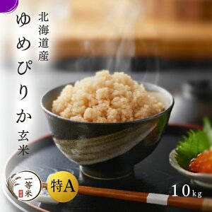 yߘa6NYzA 1  ߂҂肩 10kg AN ꓙ  kCY _ƒ p Mtg Yn kC ]s M ʔ   ӂ邭 