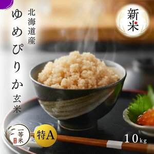 yߘa7NYVāzA 1  ߂҂肩 10kg AN ꓙ  kCY _ƒ p Mtg Yn kC ]s M ʔ   ӂ邭 