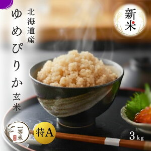 yߘa7NYVāzA 1  ߂҂肩 3kg AN ꓙ  kCY _ƒ p Mtg Yn kC ]s M ʔ   ӂ邭 