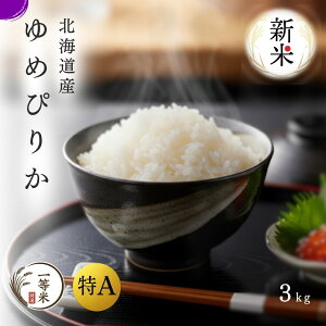 yߘa7NYVāz A 1  ߂҂肩 3kg AN ꓙ   kCY _ƒ  p Mtg Yn Õ kC ]s M ʔ   i  ӂ邭