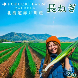 lM 5kg LTCY ˂ kC ԈY Jf˂ Ɩp Yn {  Ԉ쑺 rR lM