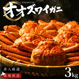 【北海道産】 オオズワイガニ 姿 3kg オスのみ オオ ズワイガニ【国産 カニ かに ずわいがに ずわい蟹 北海道 お取り寄せ 冷凍 ボイル 鍋 味噌汁 だし 雑炊 かにみそ 鉄砲汁 幻 ふるくり 送料無料 大量発生 大ズワイガニ】