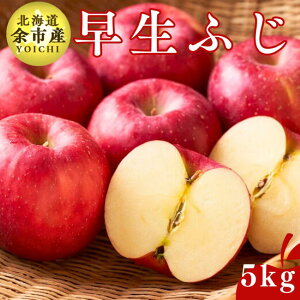 y2025Nxs\tz  5kg  ӂ Gi kC ]sY _ Mtg 蕨 v[g Yn kCY ]s  s\  i t[c t[c̋ ӂ