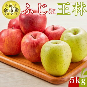 y2025Nxs\tz  5kg Tӂ  Gi kC ]sY _ Mtg 蕨 v[g Yn kCY ]s  s\  i ӂ t[c t[c