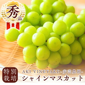 シャインマスカット ぶどう 秀品 1kg 特別栽培相当 北海道 余市産 安芸農園 ギフト 贈り物 プレゼント 産地直送 北海道産 余市 余市町 お取り寄せ 先行予約 時期 品種 ぶどう マスカット ワイン ふるくり 送料無料