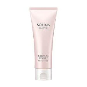 ԉ@\tB[i@̂߂̔et痿@NbVA@120g