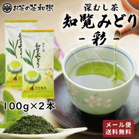 [ お茶 緑茶 知覧茶 深むし茶 ] 知覧みどり 彩 100g 2本セット メール便 送料無料 [ 深蒸し茶 鹿児島県 南九州市産 茶葉 煎茶 お茶っ葉 お茶っぱ お歳暮 プレゼント ギフト お返し 誕生日 カテキン 水出し まろやか ]