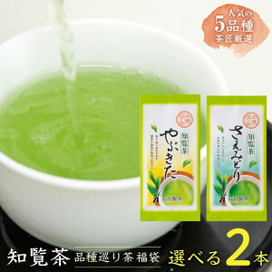 【選べる2本】知覧茶 品種巡り福袋 80g×2本 メール便 送料無料 [ シングルオリジン ちらん茶 ゆたかみどり やぶきた さえみどり おくみどり あさつゆ 深蒸し茶 深むし茶 お茶 緑茶 日本茶 ケ