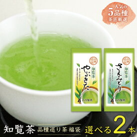 【選べる2本】知覧茶 品種巡り福袋 80g×2本 シングルオリジン ちらん茶 ゆたかみどり やぶきた さえみどり おくみどり あさつゆ 深蒸し茶 深むし茶 お茶 緑茶 日本茶 ケルセチン メール便 送料無料