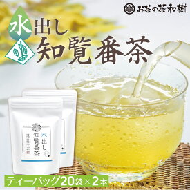 [ お茶 ギフト ] 知覧茶 水出し番茶 ティーバッグ 5g×20袋 2セット メール便送料無料 [ 鹿児島 知覧 番茶 三角テトラ ティーパック お歳暮 プレゼント ギフト ]