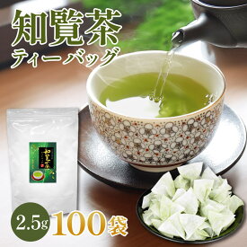 [ お茶 緑茶 ギフト ] 知覧茶 ティーバッグ 2.5g×100袋 [ 鹿児島県産 メール便送料無料 深蒸し茶 鹿児島県 三角ティーバッグ 不織布 カテキン 茶葉 煎茶 水出しうまみ まろやか 一番茶 お歳暮 プレゼント RSL ]