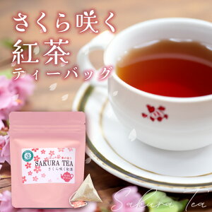 [ g ] 炭g eB[obO 3g×7 [ t ׂɂӂ g Y t t̍ g g 킢 pbP[W Ε v[g Mtg  Ԃ ԂMtg 