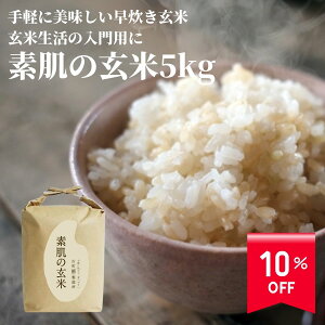 y10%off X[p[SALE 12/4 20~12/11z    V VY ~L[NC[ f̌ 5kg yÒ z uECX   H@ Đ Y ߘa7NY