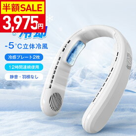 【クーポン利用で最安3975円】「猛暑対策」ネッククーラー 冷却プレート付 首掛け扇風機 冷却 クール 冷感 ひんやり ペルチェ マイナスイオン 対応 除菌 空気浄化 立体冷風 2倍冷感 首かけ扇風機 くびかけ扇風機 ネックファン 羽根なし