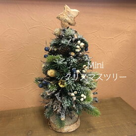 楽天市場 ミニ クリスマスツリー 花 観葉植物 花 ガーデン Diy の通販 楽天市場 ミニ クリスマスツリー 花 観葉植物 花 ガーデン Diy の通販
