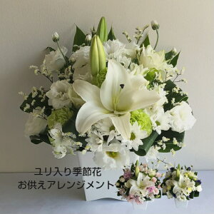    AWg G߉  ~ @ ފ   O  ~ l\   CAWg  蕨 Mtg 