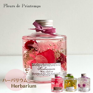 n[oE a Mtg ꌋLO vZg vU[uht[ ސEj j 蕨  ̓ z g sN u[ O[ o[Xf[ oYj zC