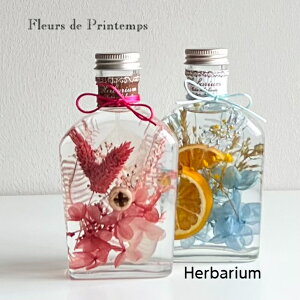 n[oE Mtg a vZg 킢  VRf vU[uht[ G  j oYj ẑj CeA  j 蕨 LO 