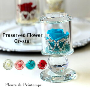  Mtg vU[uht[ NX^ a LO j Iׂ4F j  o NX^Th sN bh u[ zCg NX}X zCgf[ v[g 