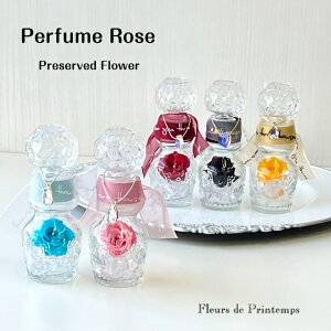  Mtg vU[uht[ a j LO j v[g ͂Ȃ  j  KX{g oYj Iׂ5F [Y̍