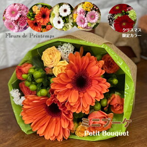  Mtg ~ju[P ԑ a t[u[P ʉ  LO \ ސEj j t[Mtg oYj j hV̓  ܂ԑ G߂̉  v`Mtg o