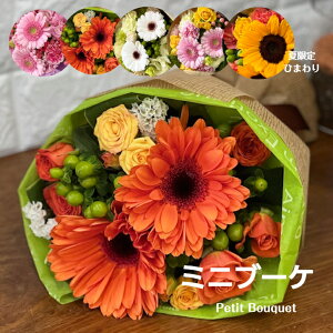  Mtg ~ju[P ԑ a t[u[P ʉ  LO \ ސEj j t[Mtg oYj j hV̓  ܂ԑ G߂̉  v`Mtg o