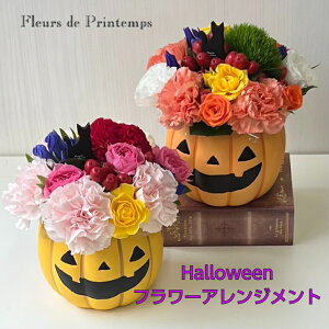 nEB AWg   t[AW nEBMtg HFAW 킢 pvL IW CG[ o J[l[V I[^ v[g