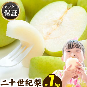 �������� ��\���I�� ��1kg ���ƒ�p �󂠂� �Ȃ� 2�Z�b�g�w����1kg�����܂��t�� �ӂ邳�Ɠ��a ��8�����{-9�����{���ɏo�ח\���