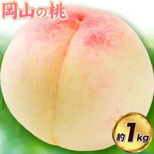 �������� ���R�̓� 1kg 3~5�� �� ���� ���� ���R���Y �t���[�c �ʕ� ���� momo �ӂ邳�Ɠ��a ��6�����{-9�����{����蔭���\���