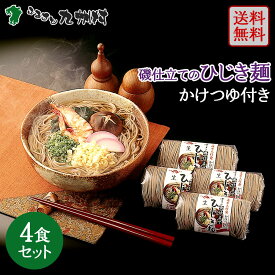 送料無料 磯仕立てひじき麺 4人前 かけつゆ付き 生麺 ひじき 海藻麺 そば粉 不使用 オリジナル お土産 蕎麦アレルギー対応 ヘルシーそば 長崎特産 温かいそば