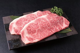【送料無料】佐賀牛　サーロインステーキ　400g(200g×2枚)　冷凍　最高級品質