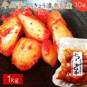 傤 V Y Y L`傤 1kg(100g×10 ) r[ ܂ y Y L` 傤 Y 傤L`  r[ɍ  傤Ђ(H
