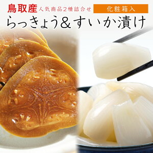 Mtg 傤 Y Y 傤Ђ Zbg ݖЂ 3 傤 80g 2܁yzy {Mtg܎2016 z傤ВY傤Ð|ЂƂ