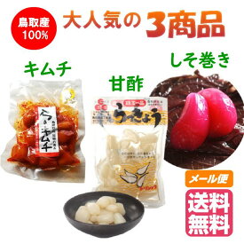 楽天市場 らっきょう 種の通販 楽天市場 らっきょう 種の通販
