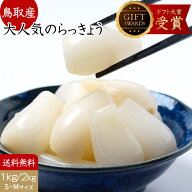 らっきょう 国産 鳥取産 日本ギフト大賞受賞 小粒S〜M不揃い 甘酢1kg(500gx2袋)/2kgらっきょう漬け らっ…