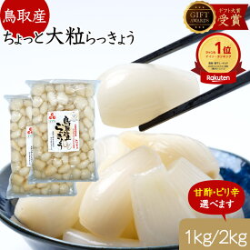 らっきょう 鳥取産 日本ギフト大賞受賞 らっきょう 国産 大粒1kg(500gx2袋) 選べる 甘酢 & ピリ辛 不揃い らっきょう漬け らっきょ 惣菜 らっきょう漬 お漬物 おつまみ らっきょう酢 ハイボール ワインに合う