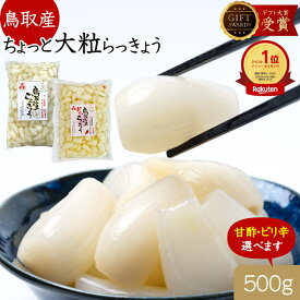 らっきょう 鳥取産 日本ギフト大賞受賞 500g 国産 大粒 不揃い【選べる甘酢・ちょい ピリ辛】 らっきょ らっきょう漬 らっきょ 漬物 らっきょう酢 らっきょう漬けつまみ ワイン ハイボール ビールに合う