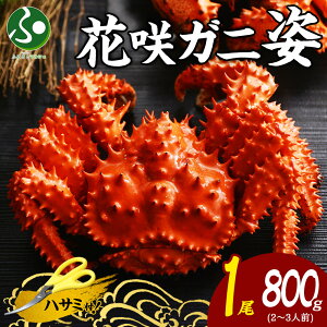 ԍKj {C p 800gO 1 I Jj p {C  ԍJj ԍ炩 ԍ炪 Jj  ΕMtg Hו ΕMtg I ԍI CN Jj Mtg 񂹃O yY 