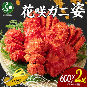 ԍKj {C p 600gO(1/2)ԍJj p  ԍ炪 ԍI Jj Mtg 񂹃O CN ΕMtg Hו ԍ炩 ΕMtg yY kCyY  CY 