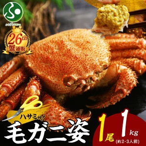 yI MtgzъI p 400g/500g/600g/800g/1kg( CN ΕMtg Jj Mtg Hו O  ΕMtg Jj p т IX  уKj   gift set Hi yY kCyY