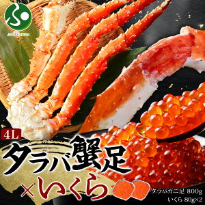 ^oKj800g ݖЂ80gx2 Zbg(Jj Mtg  c ^oI ΂ 䥂ŊI {C CN ݖЂ CN  CN 芪i 񂹃O hV̓Mtg 