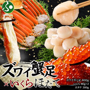 YCKj800g ݖЂ80gx2 z^e300g Zbg I ăMtg Hו hV̓v[g  Mtg r 䥂 Jj {C CN ݖЂ  ق Ⓚ CN hV̓Mtg c