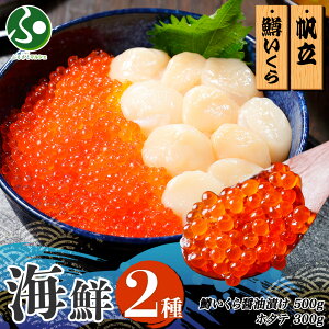 2 CN ݖЂ100gx5pbN z^e300g 5-6lOZbg  ق CN hV̓v[g CN Mtg Ⓚ  񂹃O hV̓Mtg  yY kC
