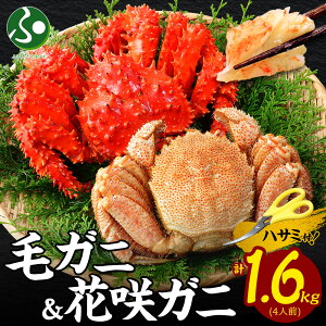 Jj I ъI ԍKj Hה Zbg e800g pnT~t  ΕMtg  Hו ΕMtg Jj уKj т уJj ۂ r ԍI ԍJj I {C CNZbg 