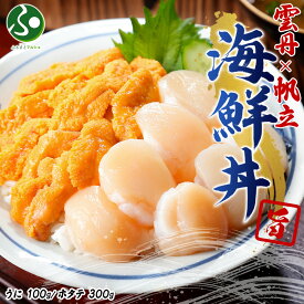 2種 うに100g ホタテ300g 計400gセット ウニ チリ産 雲丹 冬ギフト ほたて 生ほたて 帆立 冷凍 海鮮丼 海鮮セット お土産 北海道土産 お取り寄せ グルメ 送料無料 食べ物 おみやげ プレゼント 就職祝い 合格祝い 海産物 魚介類 北国からの贈り物