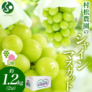 R JsY VC}XJbg 1.2kg 2[ Ԃǂ uhE  { Yn Ȃ 炲 n ʕ c t[c hV̓Mtg t[c VC}XJbg R lC 