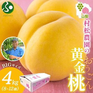 �����_�� ������ 2kg(4-6��)/4kg(8-12��) ���� ���� �� ���� �{ �Y�n���� ��� ���n �ʕ� �c�������� �M�t�g �t���[�c �ăM�t�g �� �R�� �l�C �������� �����p ���������� �t���[�c �M�t�g �ʕ� ����