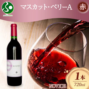 ԃC NOVICE }XJbgEx[[A 720ml×1{ t{g 쒆 R Js
