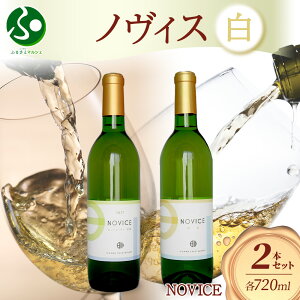 C NOVICE mBX  2 Zbg V[E[ bBbB 720ml e1{ v2{ t{g 쒆 R Js